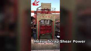 गैन्ट्री कतरनी