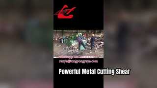 Q43-2500 मगरमच्छ कतरनी